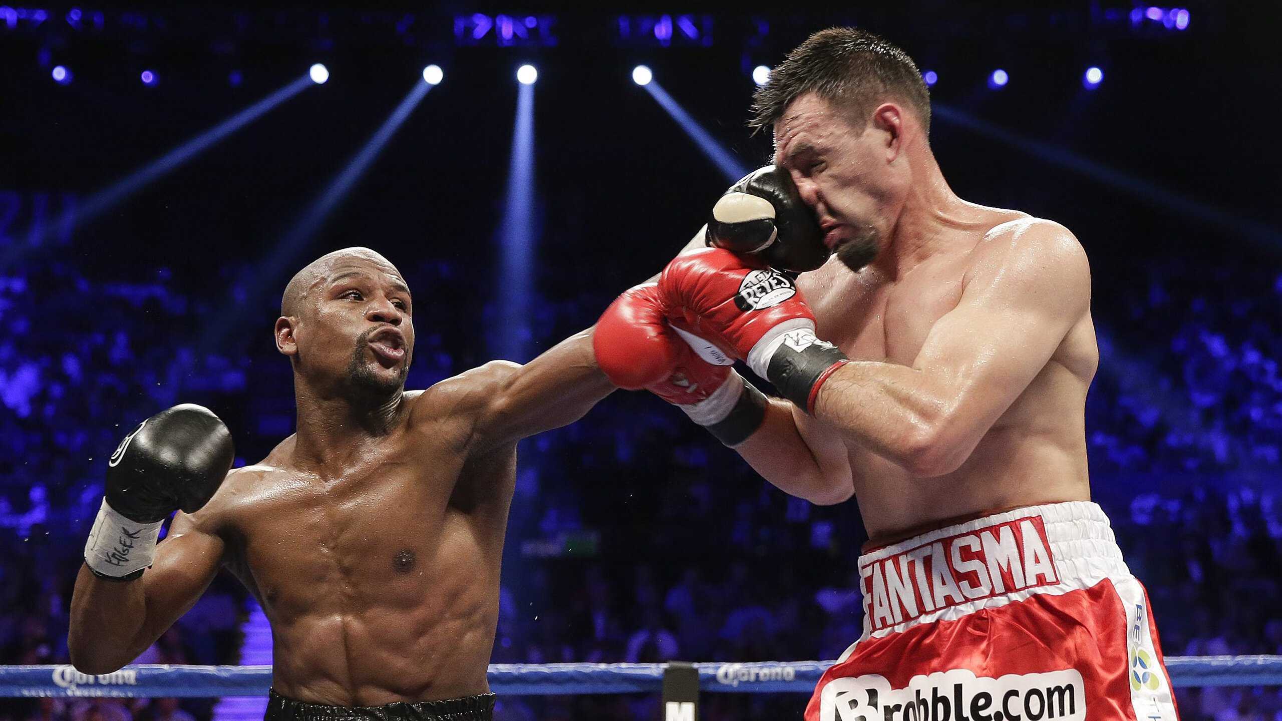 世界杯：球员家属团成为场边另一群主角 摄像机频频给镜头